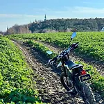 Narusa Lesna Przystan - I W Lesie We Fromborku Nad Zalewem Wislanym Frombork