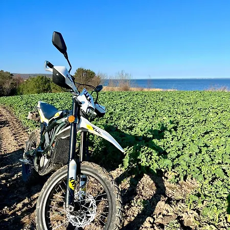 Narusa Lesna Przystan Apartamento