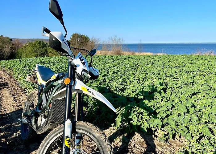 Narusa Lesna Przystan Apartment