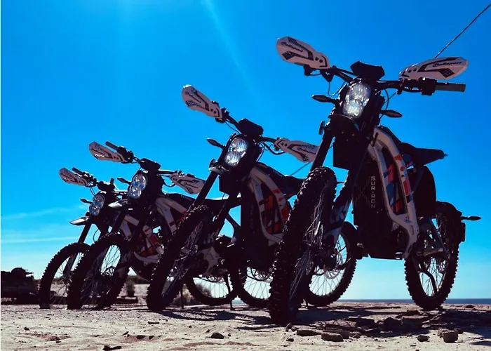 Narusa Lesna Przystan Apartment Frombork